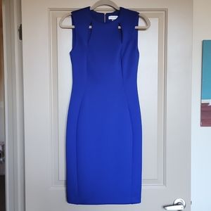 NWT Calvin Klein Dress, Size 4, RN# 54163